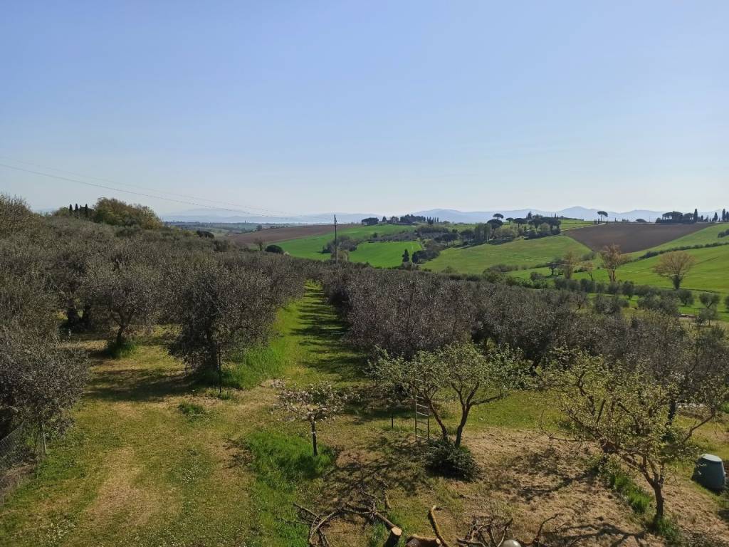 Appartamento a Castiglione del lago in Località Cimbano - Foto 4