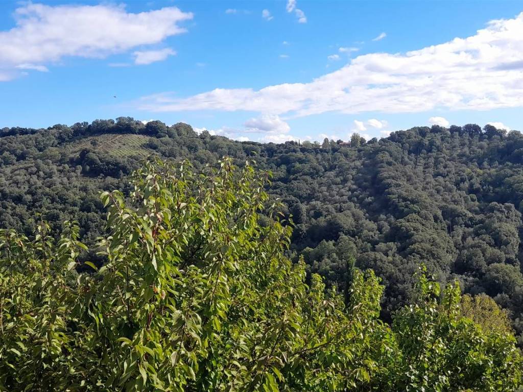 Appartamento a Magliano in toscana - Foto 2