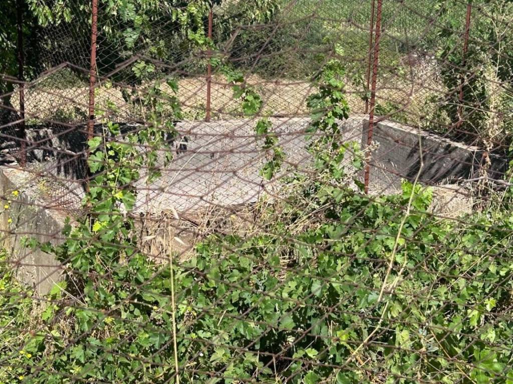 Casa indipendente a Ruoti in Contrada Campestre - Foto 2
