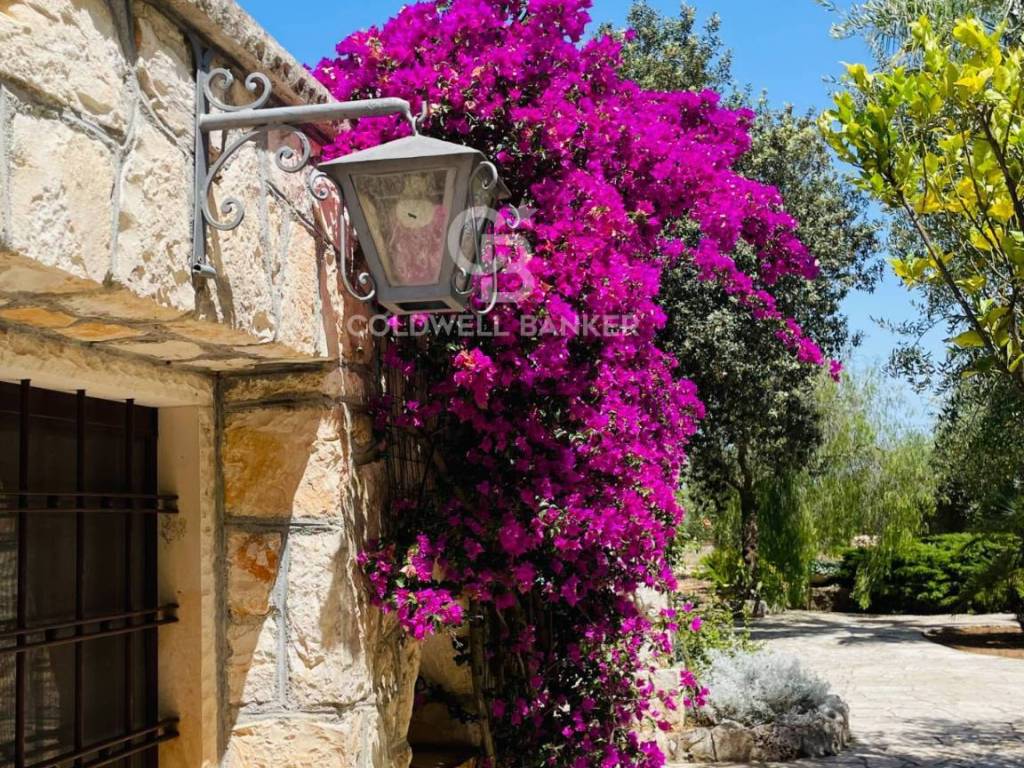 Rustico / casale a San michele salentino in Contrada Iacochionna - Foto 4