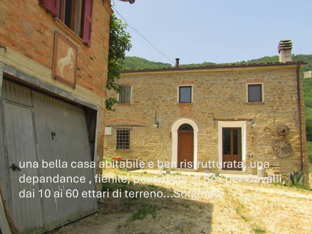 Rustico / casale a Brisighella - Foto 2