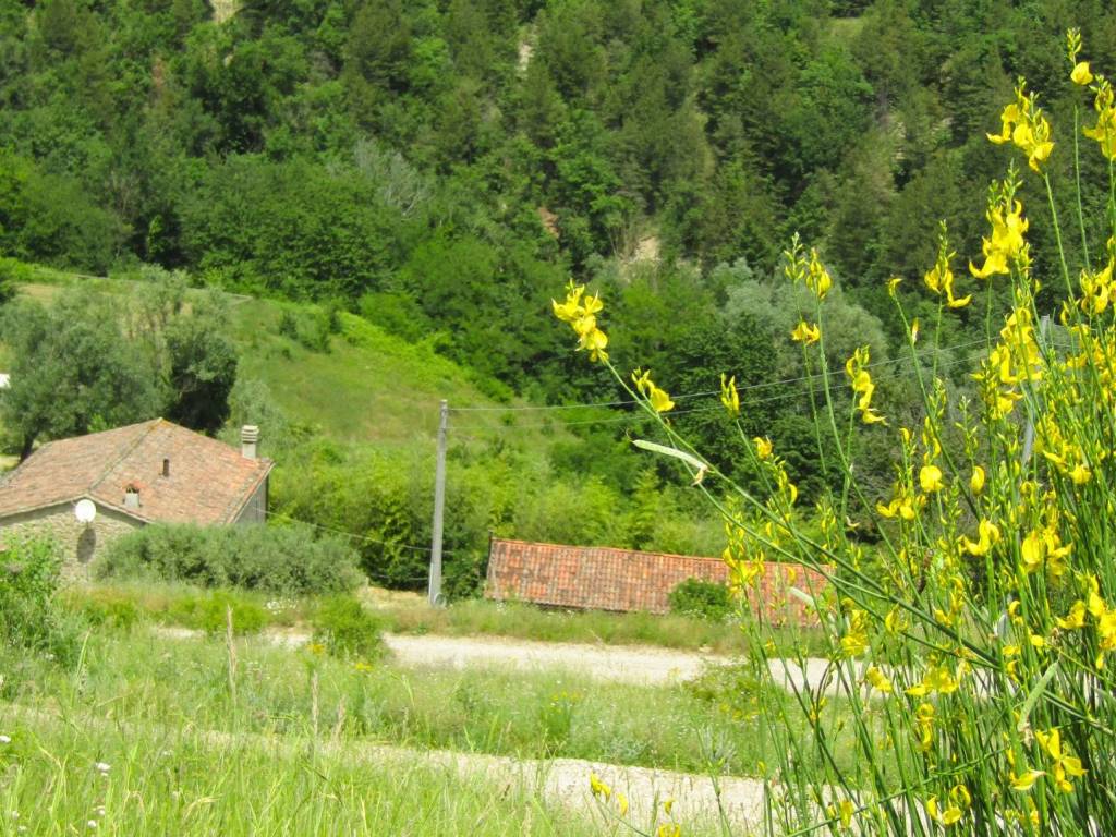 Rustico / casale a Brisighella - Foto 4