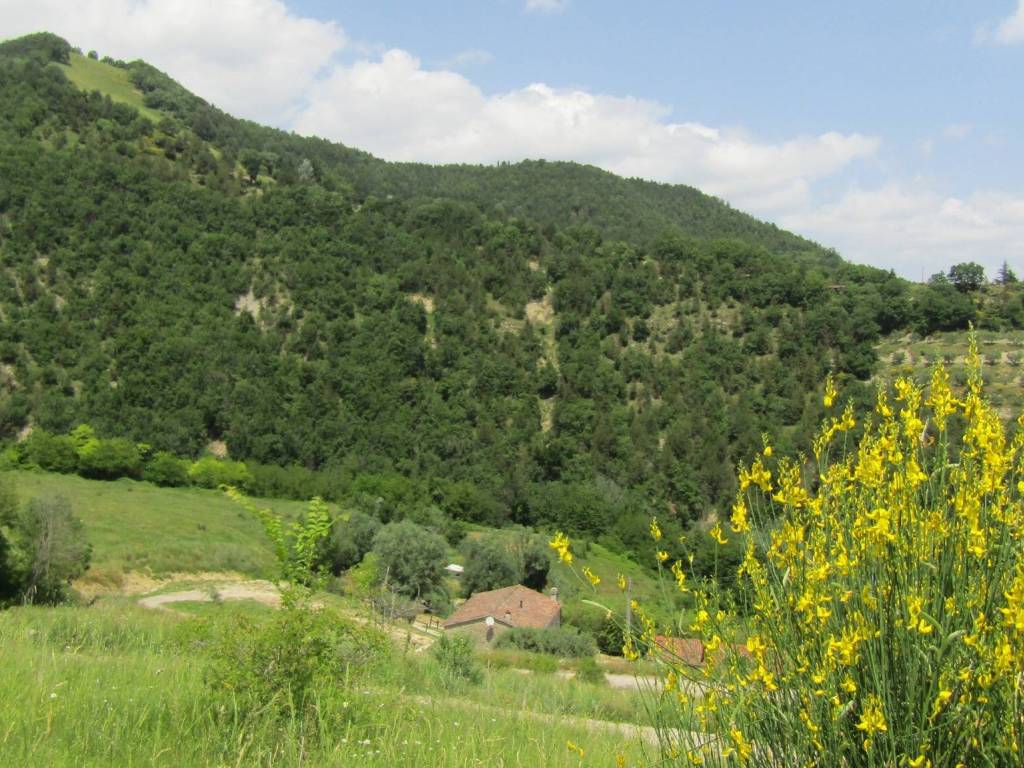 Rustico / casale a Brisighella - Foto 5