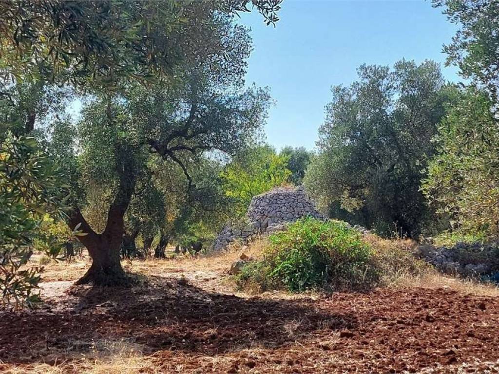 Terreno a Carovigno - Foto 5