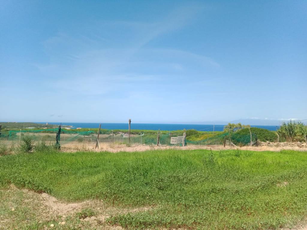 Terreno a Aglientu in Aglientu -Vignola - Foto 3