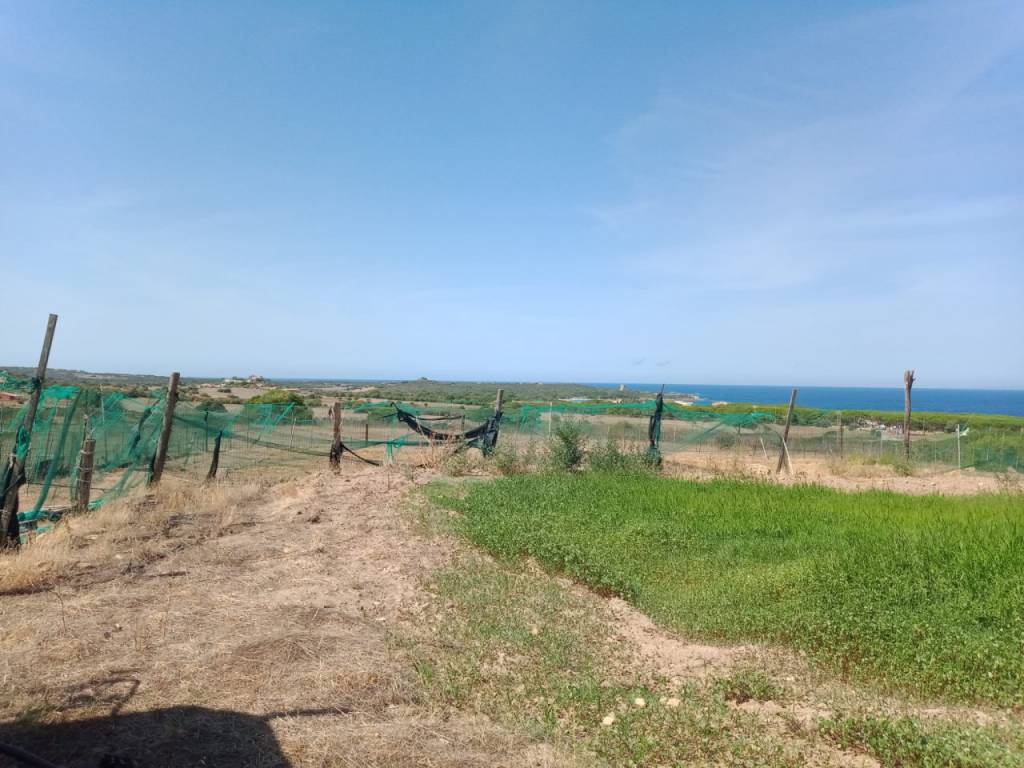 Terreno a Aglientu in Aglientu -Vignola - Foto 5