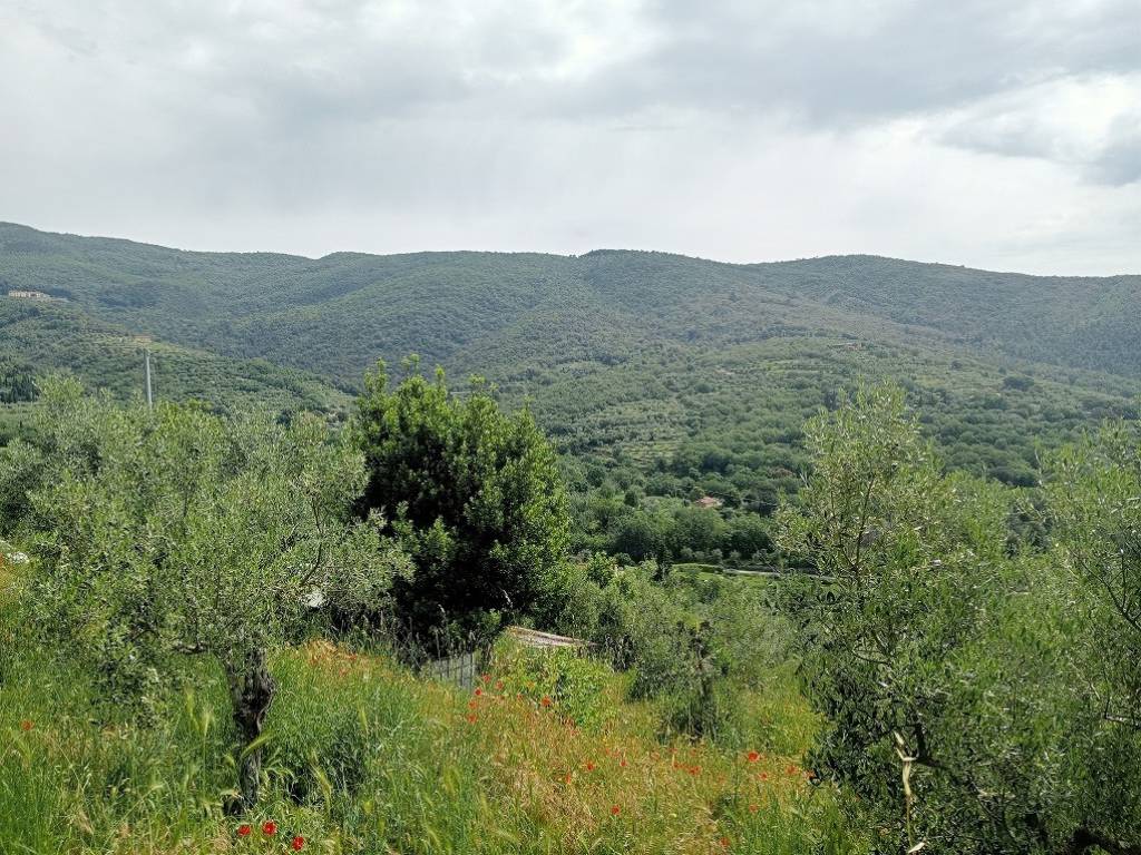 Terreno a Cortona in Case Sparse Le Contesse - Foto 2