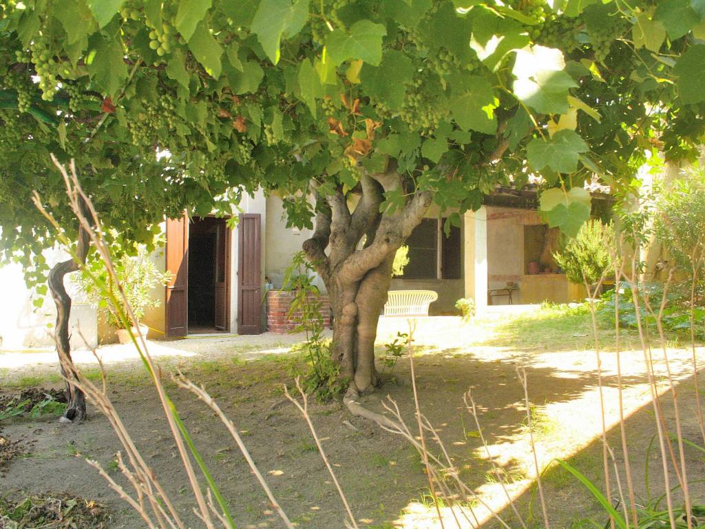 Rustico / casale a Penango in Via Roma - Foto 5