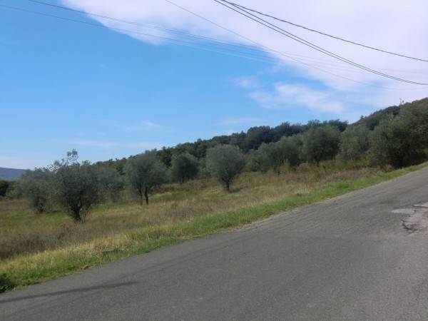 Terreno a Allerona - Foto 2