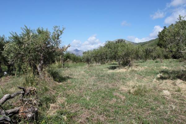 Terreno a Praia a mare - Foto 2