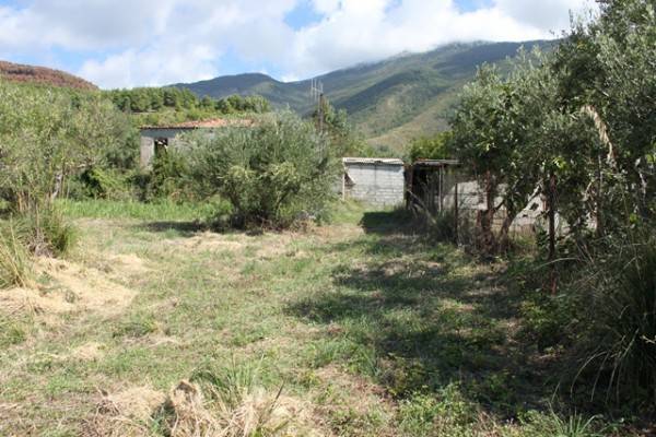 Terreno a Praia a mare - Foto 3
