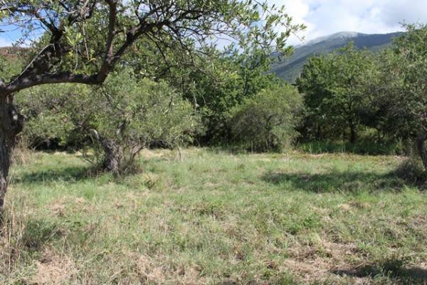 Terreno a Praia a mare - Foto 4