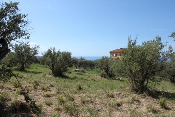 Terreno a Praia a mare - Foto 5