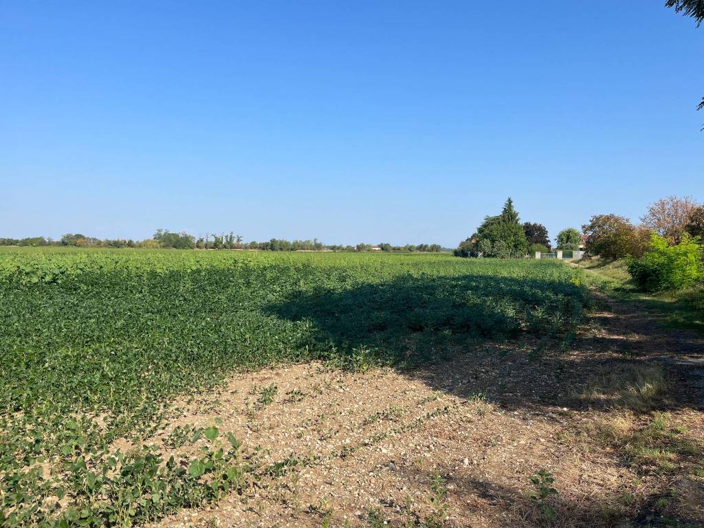 Terreno a Turriaco in Via Guglielmo Marconi, 5 - Foto 5