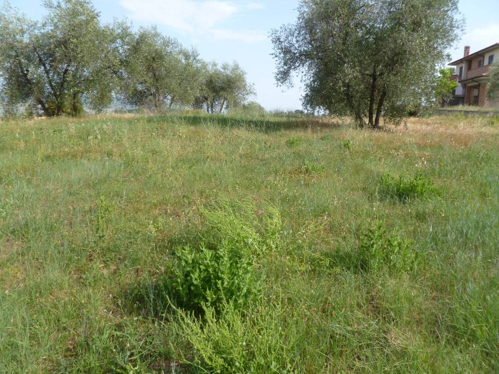 Terreno a Castiglione del lago in Via Ripida - Foto 2