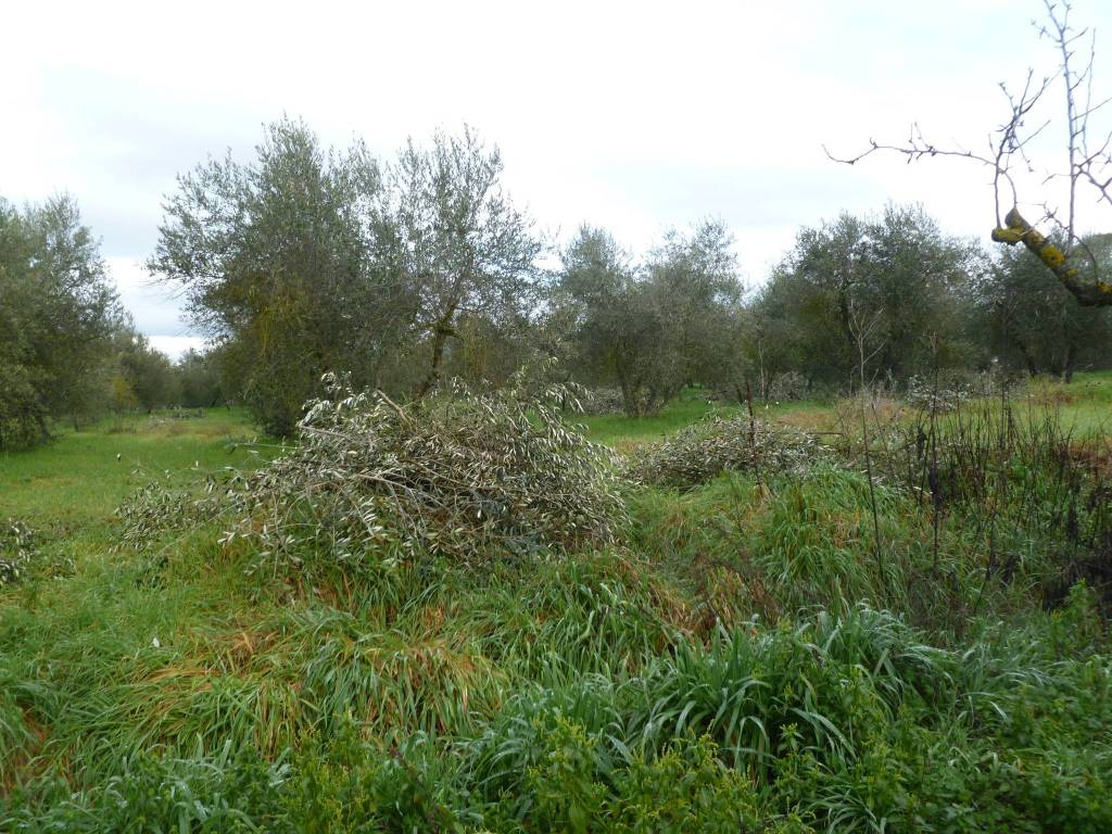 Terreno a Castiglione del lago in Via Ripida - Foto 4