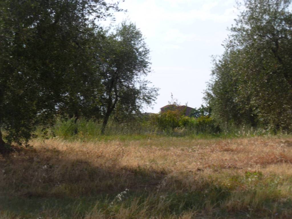 Terreno a Castiglione del lago in Via Ripida - Foto 5