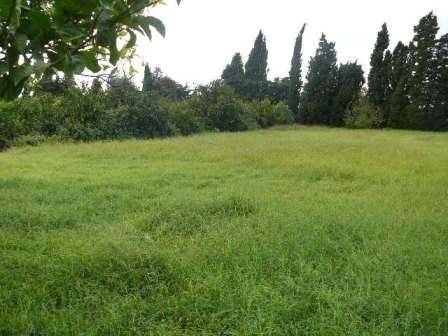 Terreno a Pace del mela in Unnamed Road - Foto 2