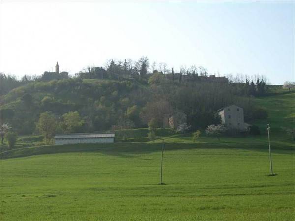 Rustico / casale a Valsamoggia in Via Valle Del Samoggia, 5364 - Foto 2