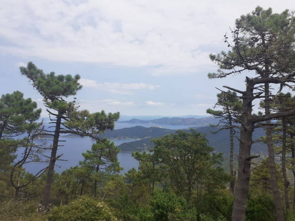 Terreno a Campo nell'elba in Via del Monumento - Foto 3