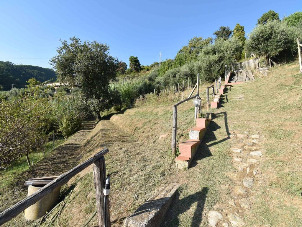 Rustico / casale a Pietrasanta in Via Strettoia - Foto 3