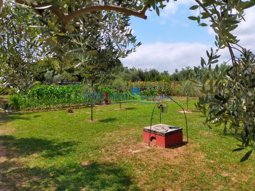 Terreno a Monsummano terme in Via Paradiso - Foto 2