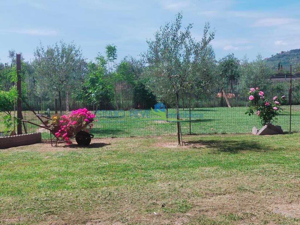 Terreno a Monsummano terme in Via Paradiso - Foto 4