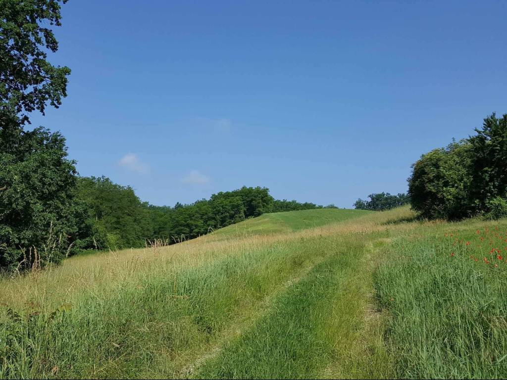 Rustico / casale a Asti in Località Valgera - Foto 4