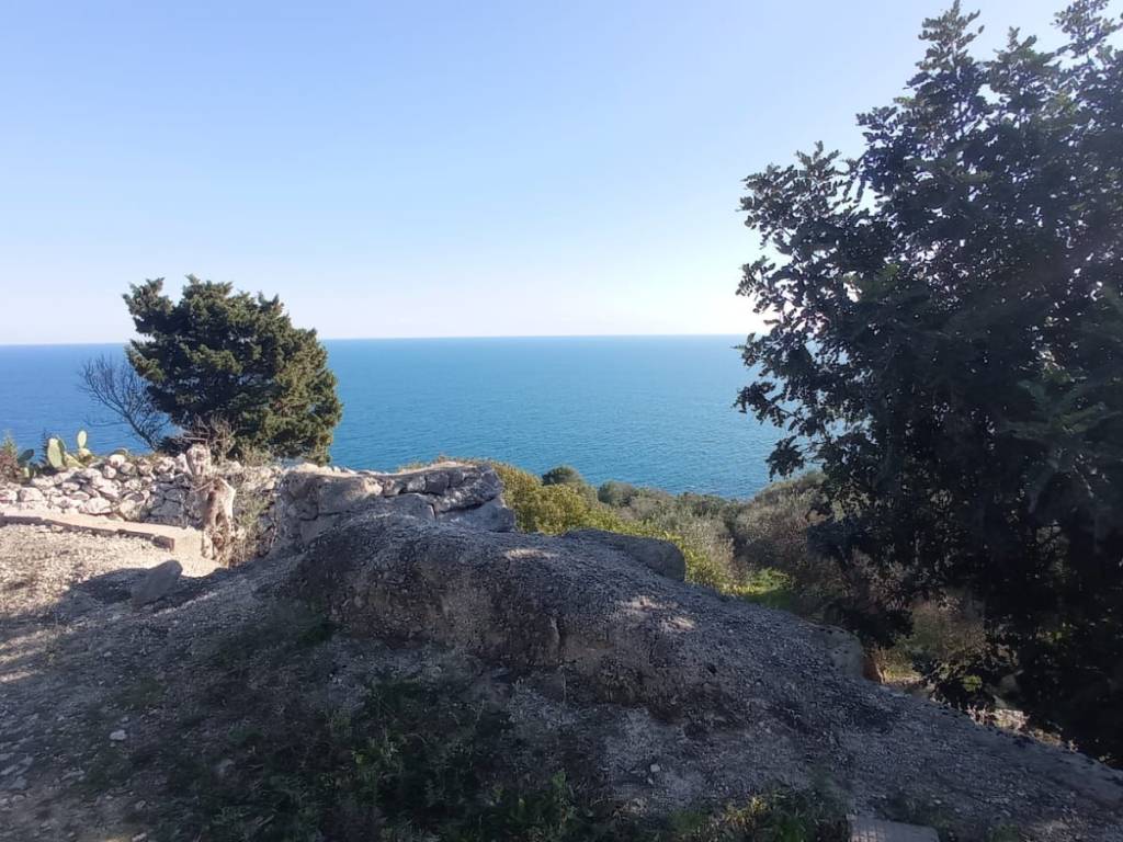 Rustico / casale a Gagliano del capo in Strada Vicinale Spinose - Foto 4