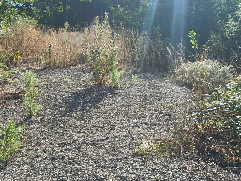 Terreno a Castiglione del lago in Via Roma - Foto 2