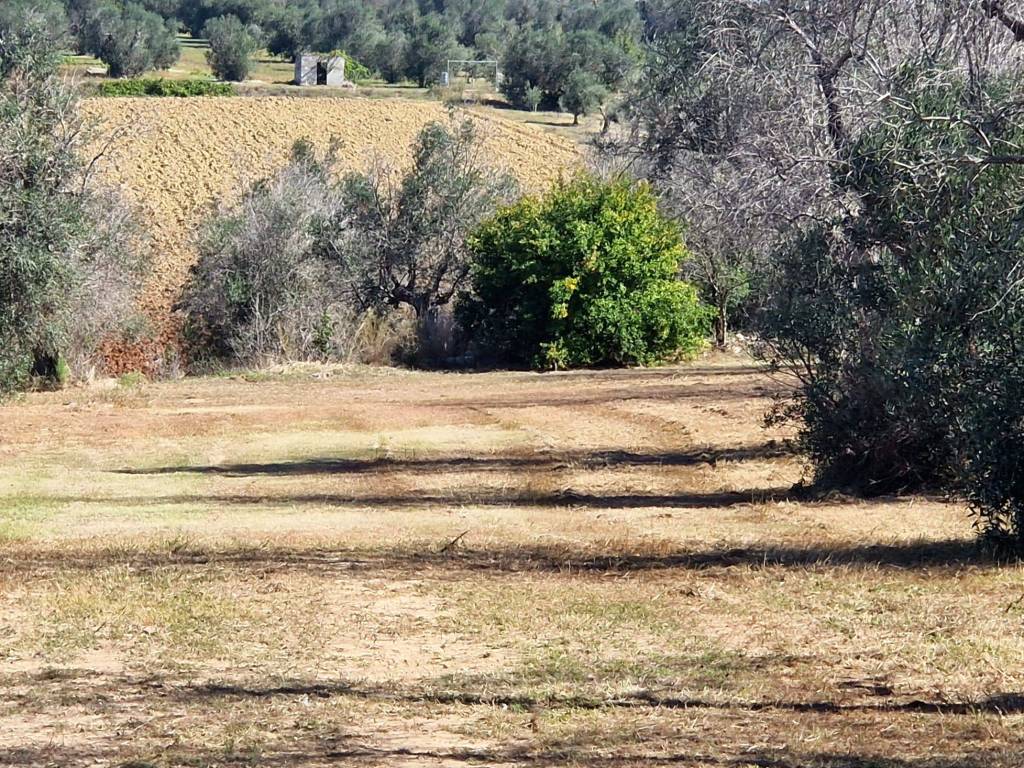 Rustico / casale a Neviano in Strada Comunale di Collepasso - Foto 2