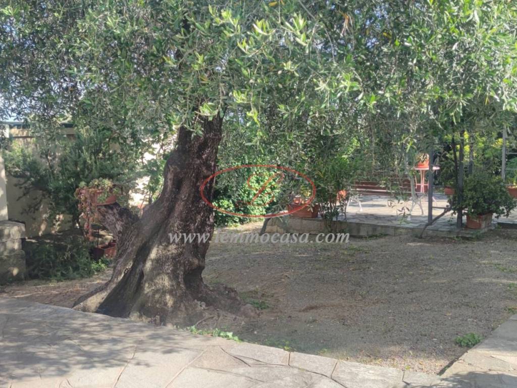 Villa a Cervo in Via Privata del Poggio , 39 - Foto 2