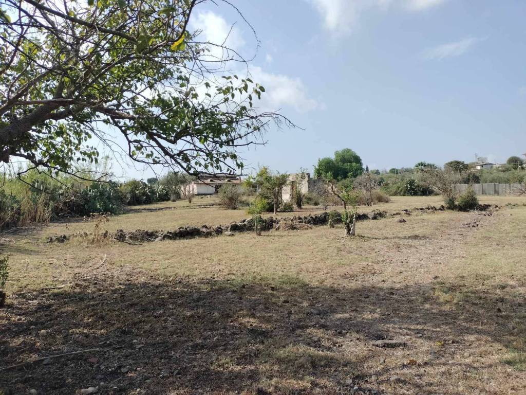 Terreno a Carlentini in Contrada Cannellazza - Foto 2