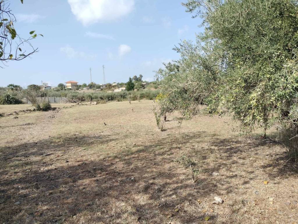 Terreno a Carlentini in Contrada Cannellazza - Foto 3