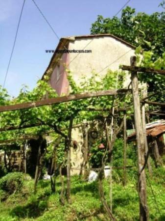 Rustico / casale a Seravezza in Via delle Salde, 86 - Foto 3