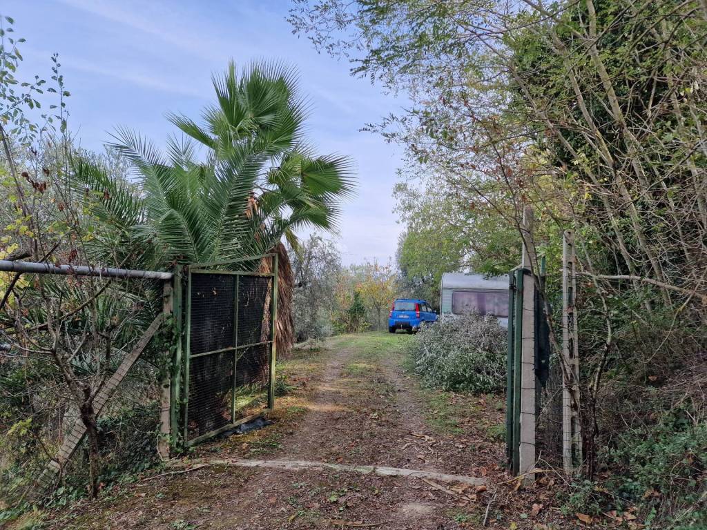 Terreno a Monsampolo del tronto - Foto 3