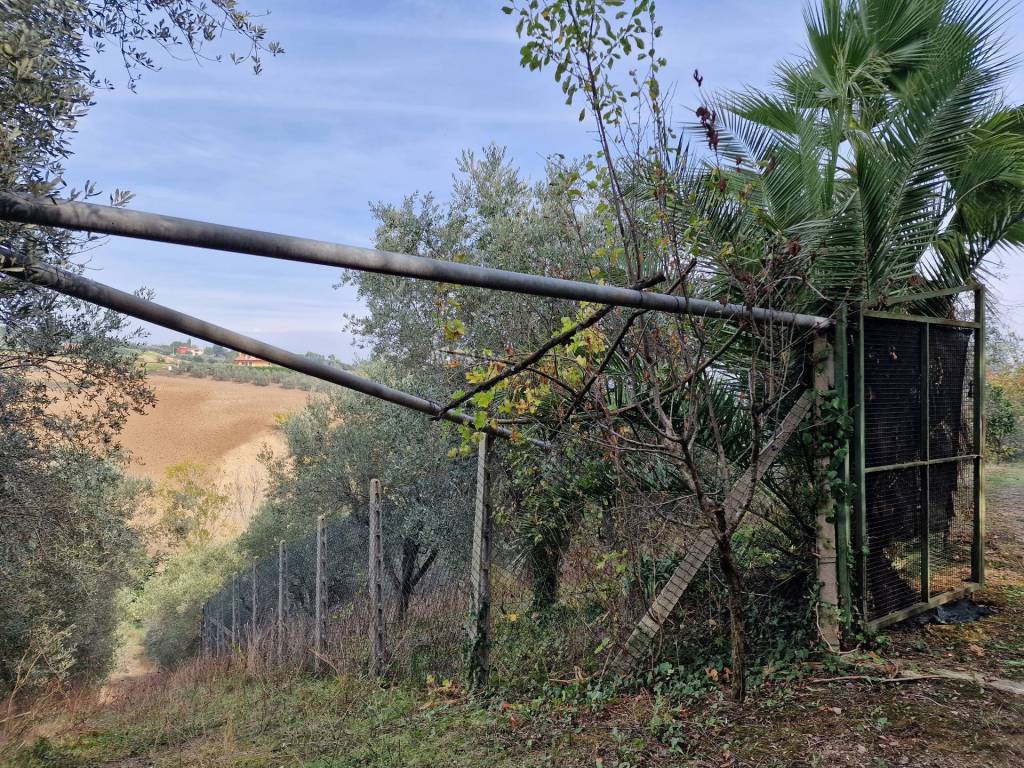 Terreno a Monsampolo del tronto - Foto 5