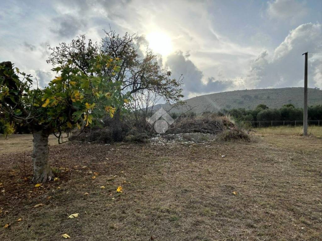 Rustico / casale a Sezze in Via Veneto - Foto 3