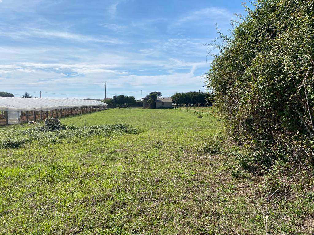 Rustico / casale a Sperlonga - Foto 5