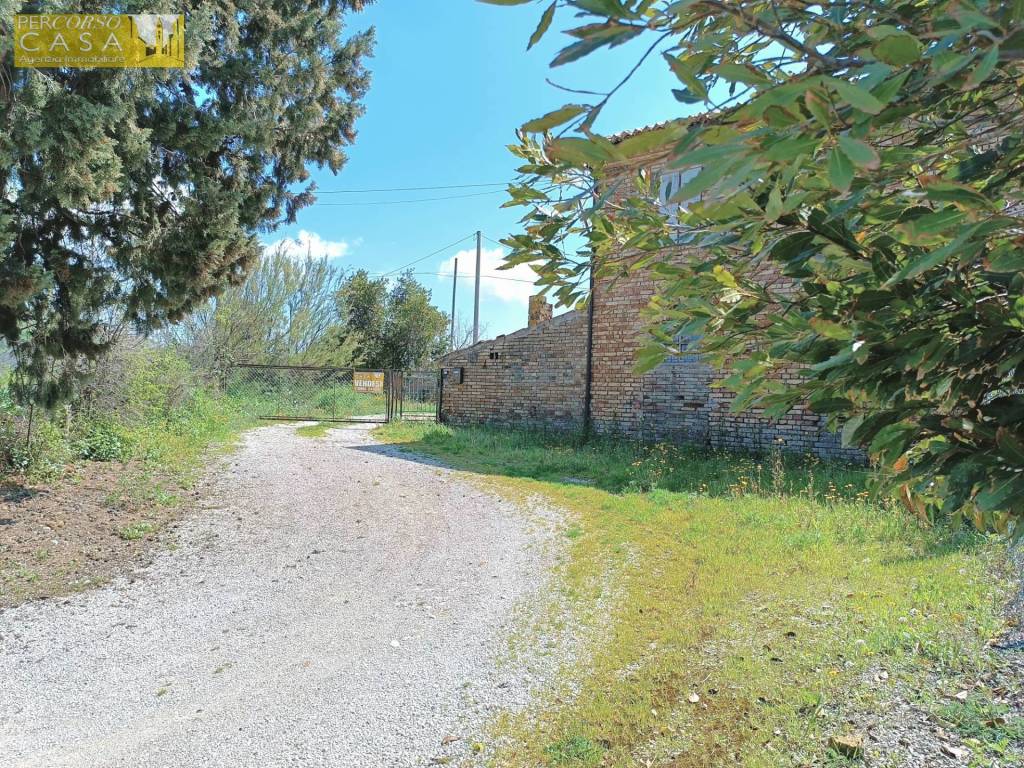 Casa indipendente a Bellante - Foto 4