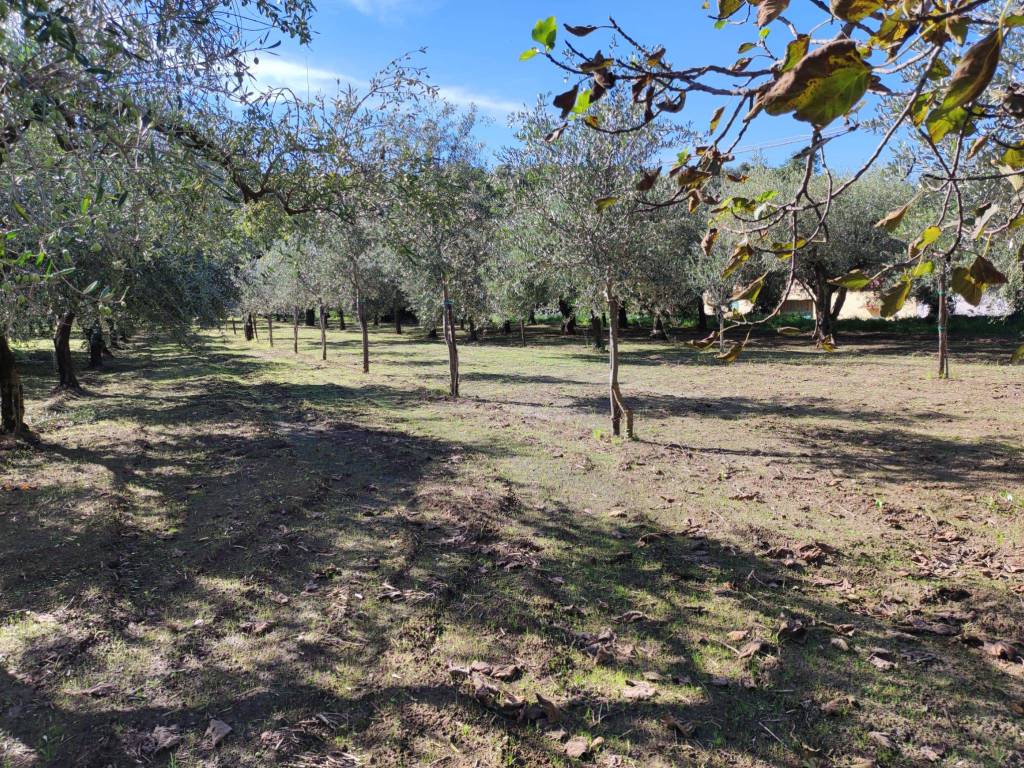 Terreno a Caserta in Via Pozzo - Foto 4
