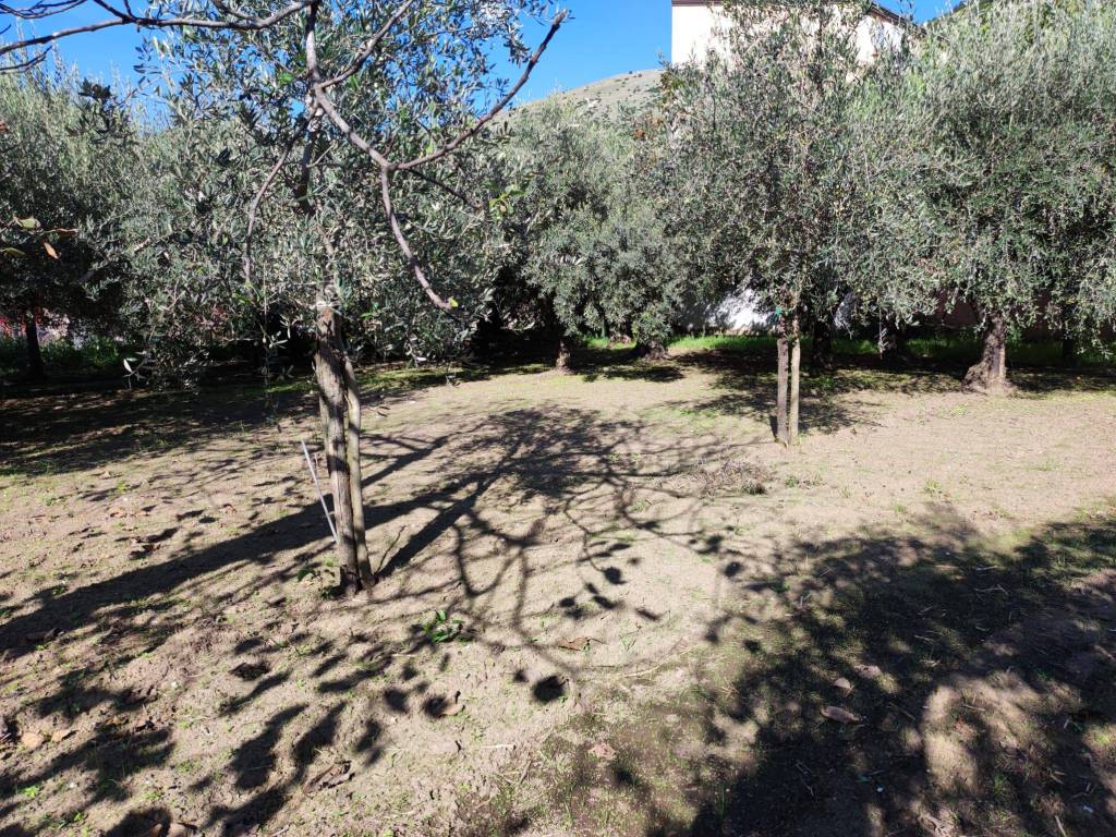Terreno a Caserta in Via Pozzo - Foto 5