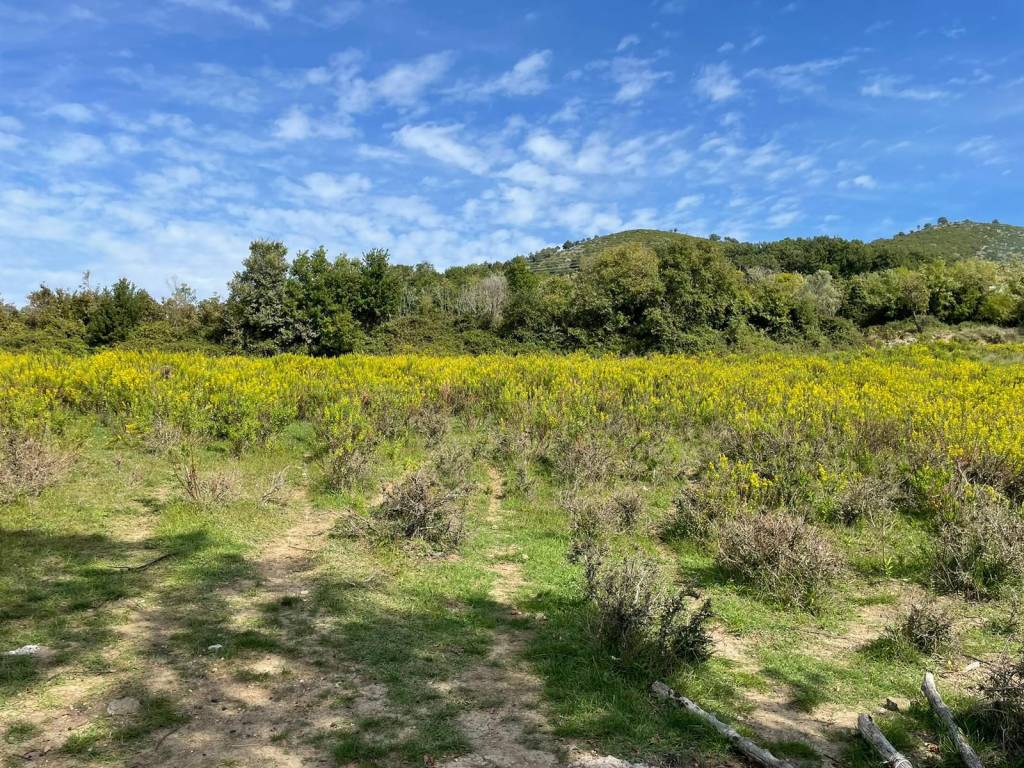 Terreno a Giffoni valle piana in Via degli Alburni - Foto 5