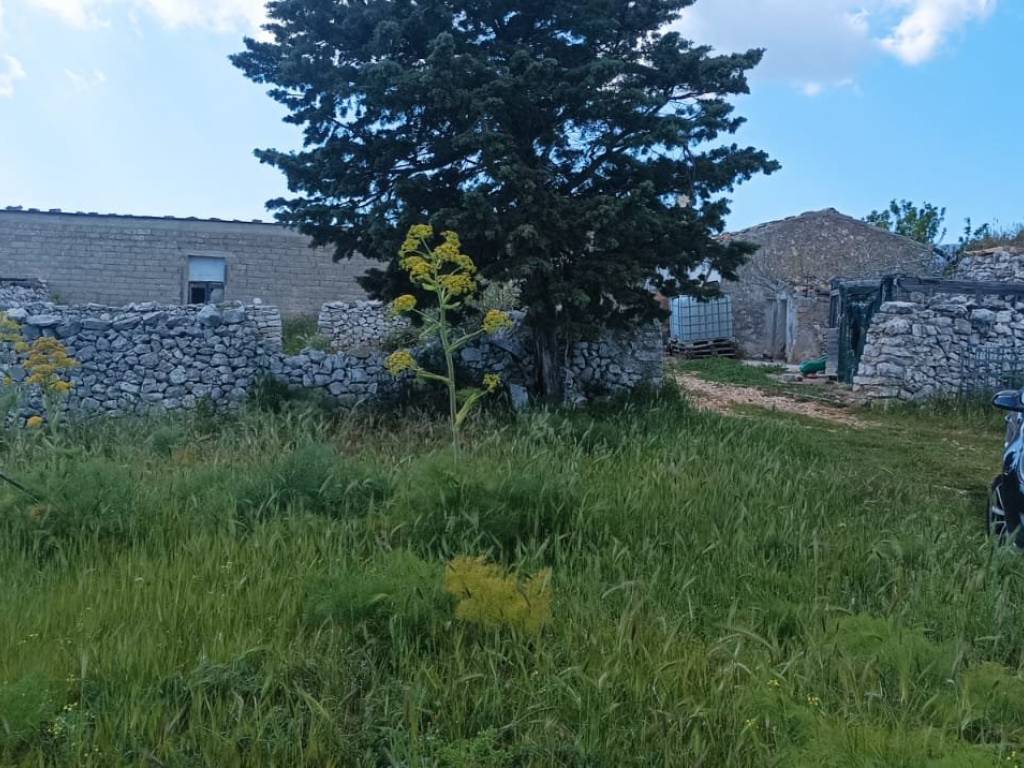 Rustico / casale a San giovanni rotondo in SP45bis - Foto 3