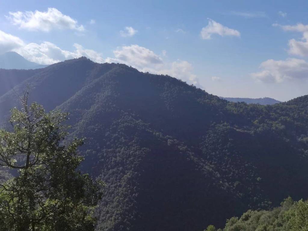 Casa indipendente a Apricale - Foto 4