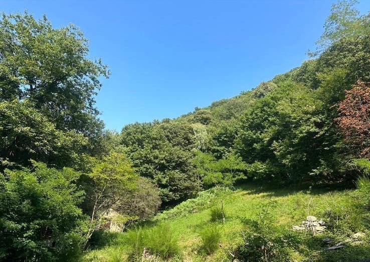 Rustico / casale a Margno - Foto 2