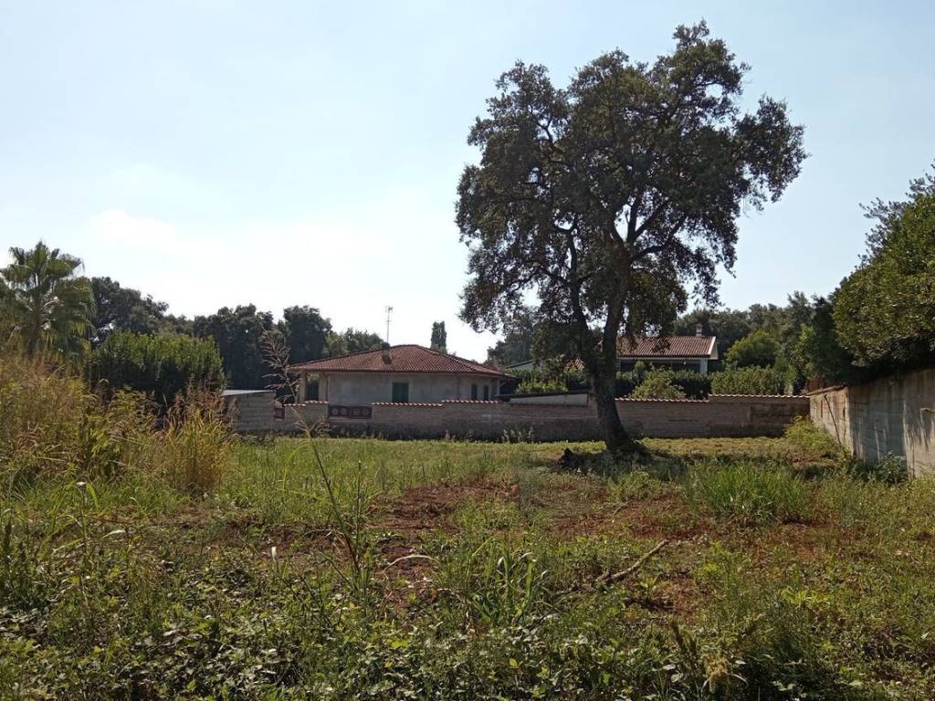 Terreno a Cisterna di latina in Via Dei Faggi S.N.C. - Foto 3
