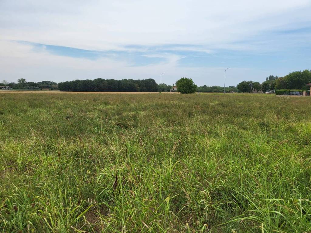Terreno a Conselice in VIA BISA - Foto 5