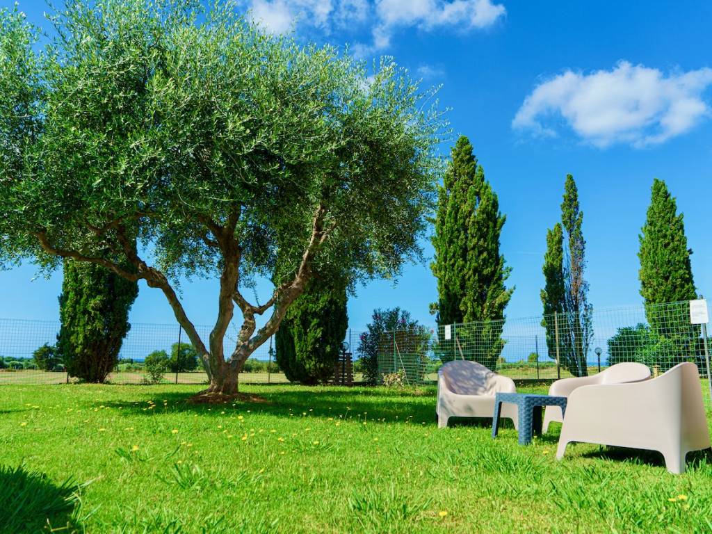 Appartamento a San vincenzo in Strada Provinciale Vecchia Aurelia - Foto 3