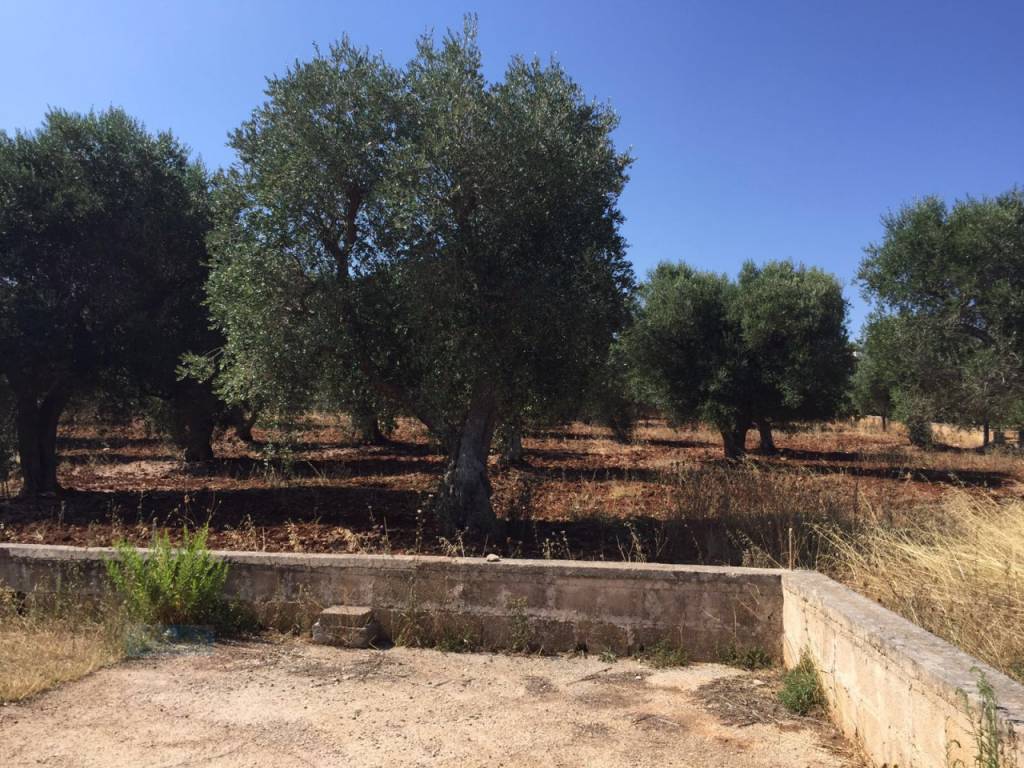 Villa a Ceglie messapica in Via Ceglie- Martina - Foto 5